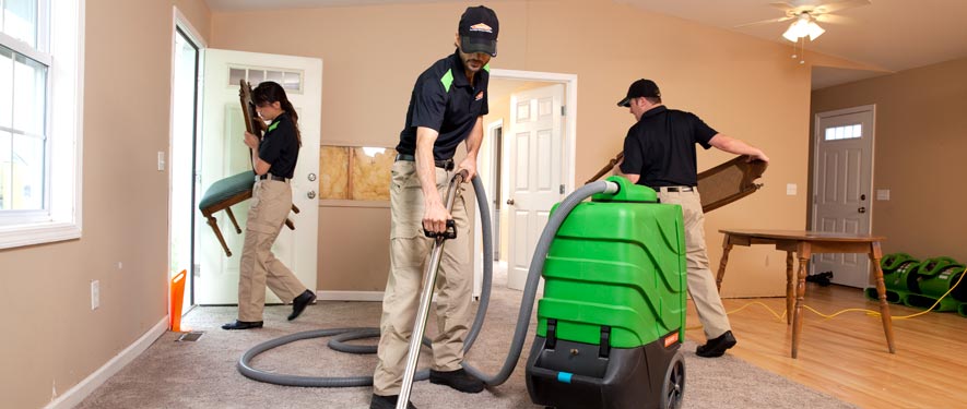 Milpitas, CA cleaning services